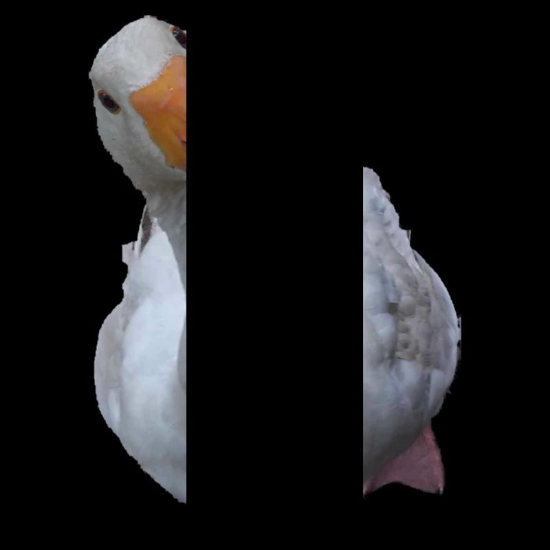 Gans