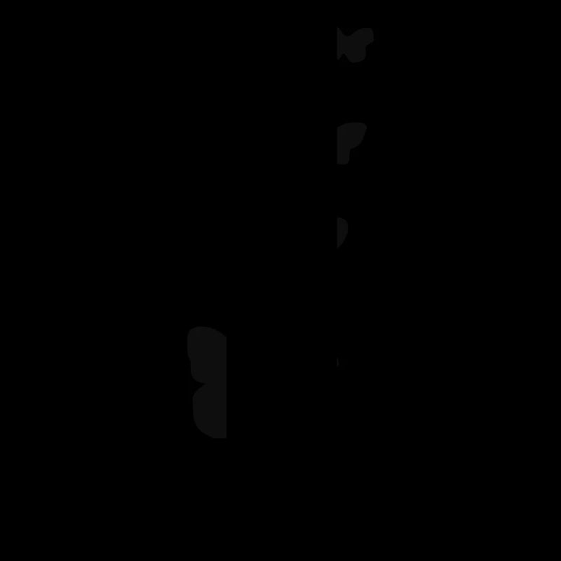schmetterlinge