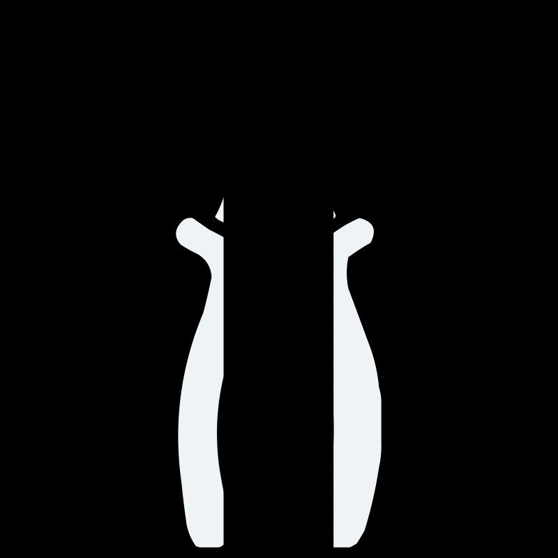 Tool pliers