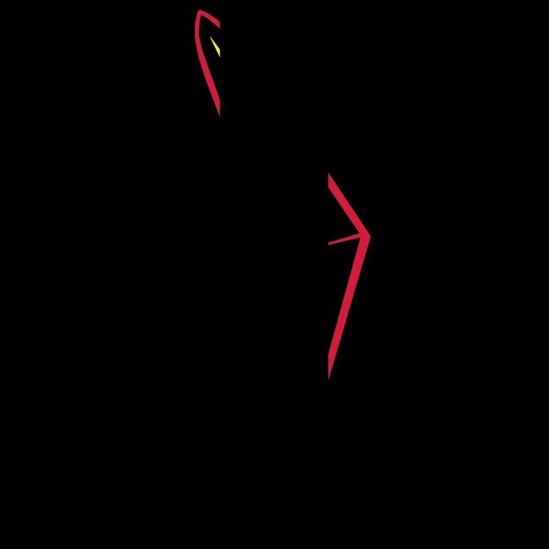 Hangglidingaction
