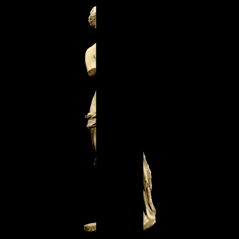 VENUS DE MILO