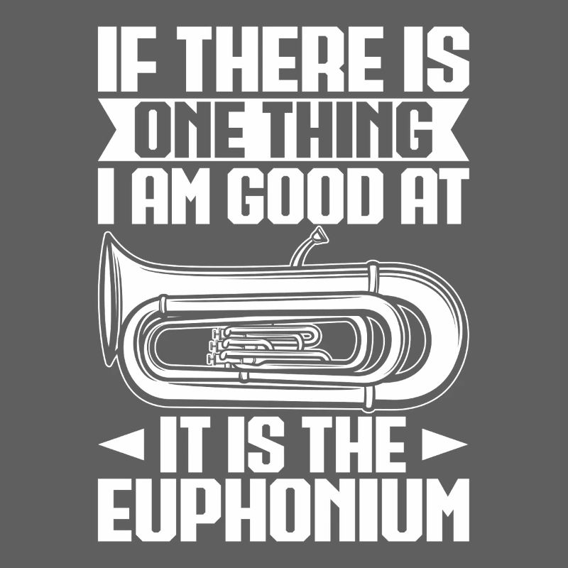 Baritone Player One Thing I Am Good Euphonium