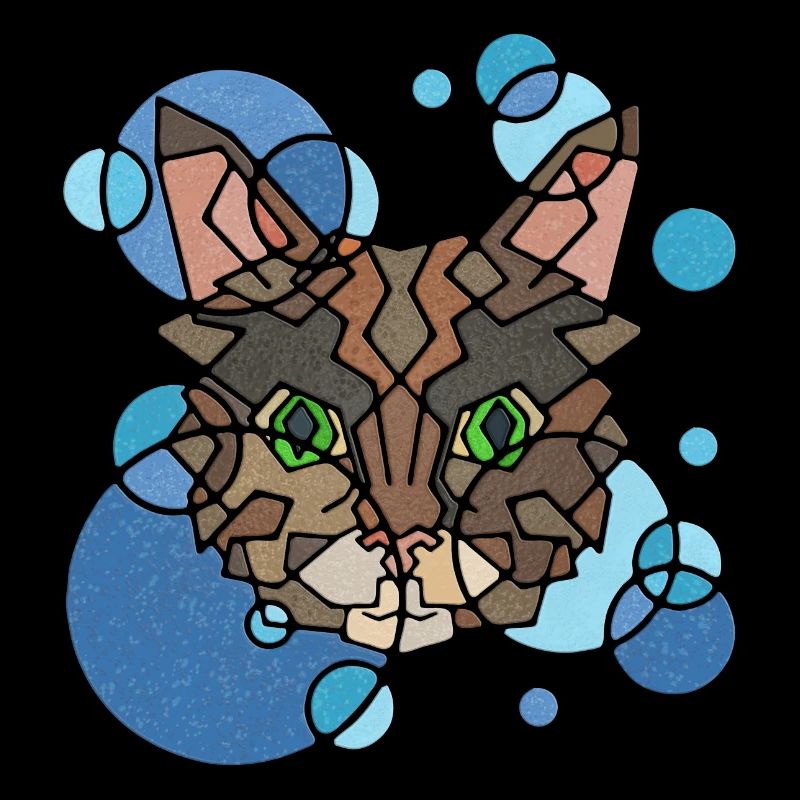 Cat Geometry