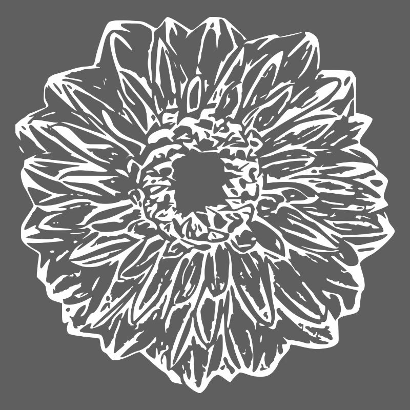Fleur, Blanc, Fleur Blanche