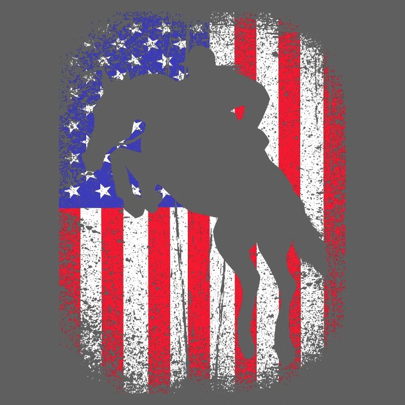 Springreiten Springpferd