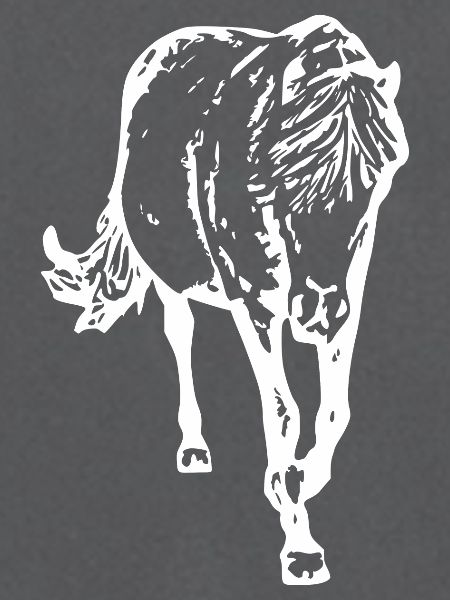 Pferd