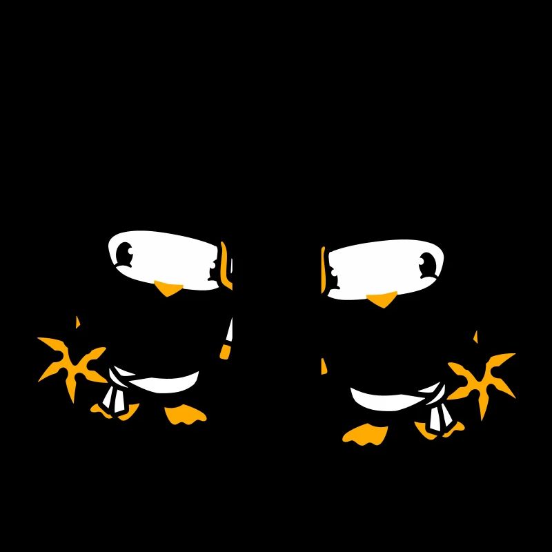 2 Birds Ninja Fighter Assassin Sword Ninja Star