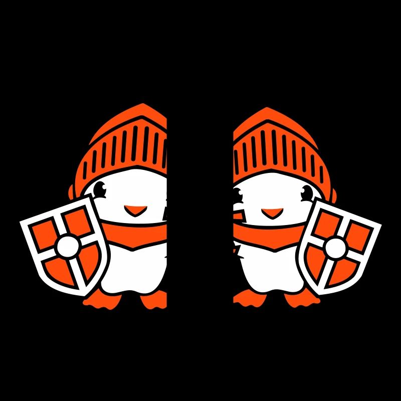 2 Ducks Knight Armor Sword Shield Helmet Fighter