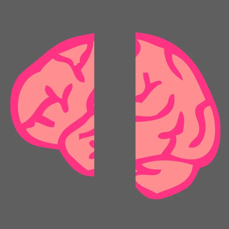 brain brain gehirn Hjerne cervello 111
