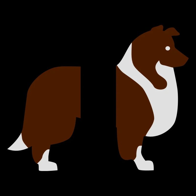 Collie