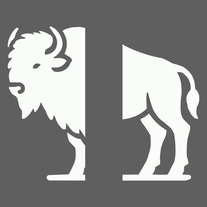 Bison Animal