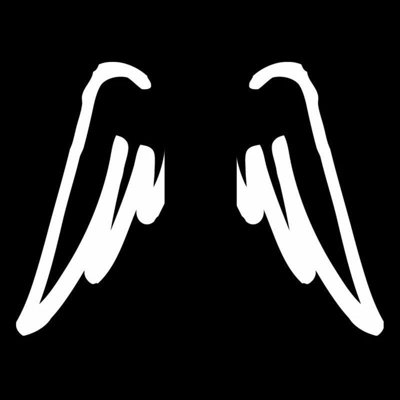 ailes d'ange blanches