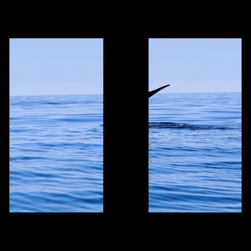 Wal