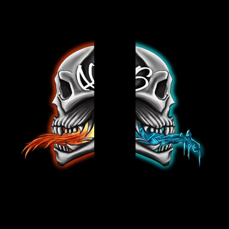 TwinSkulls