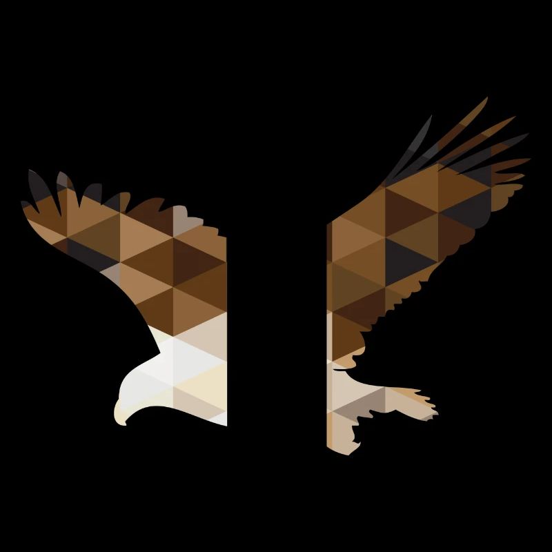 Geometric Eagle
