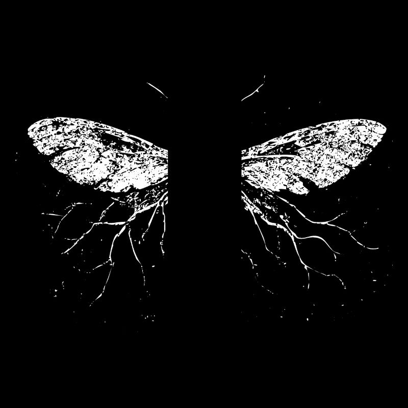 Electrified Moth