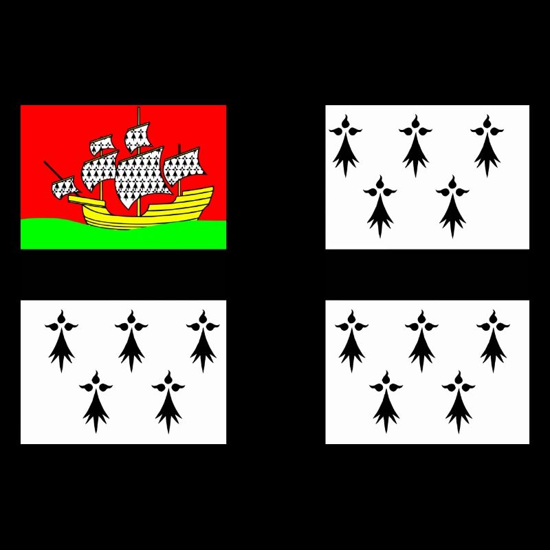 Drapeau de Nantes
