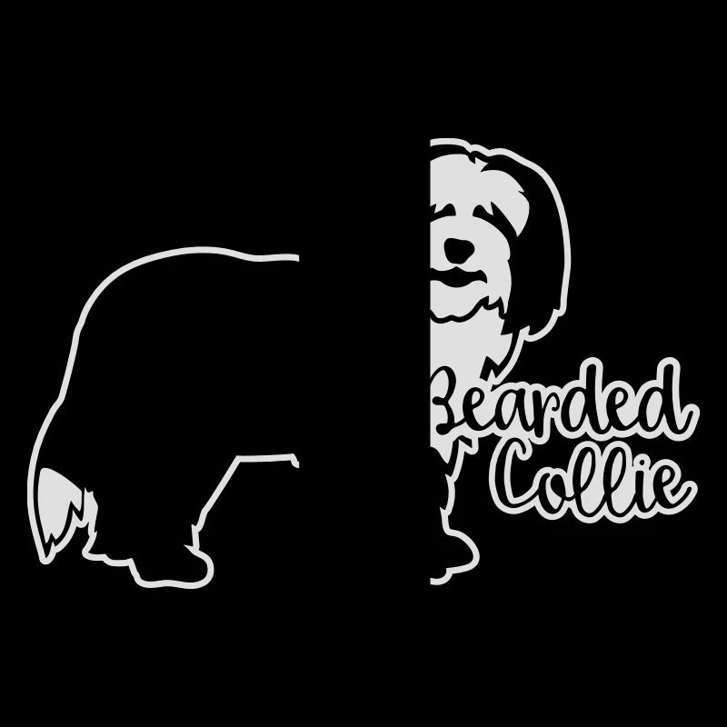 Bearded Collie