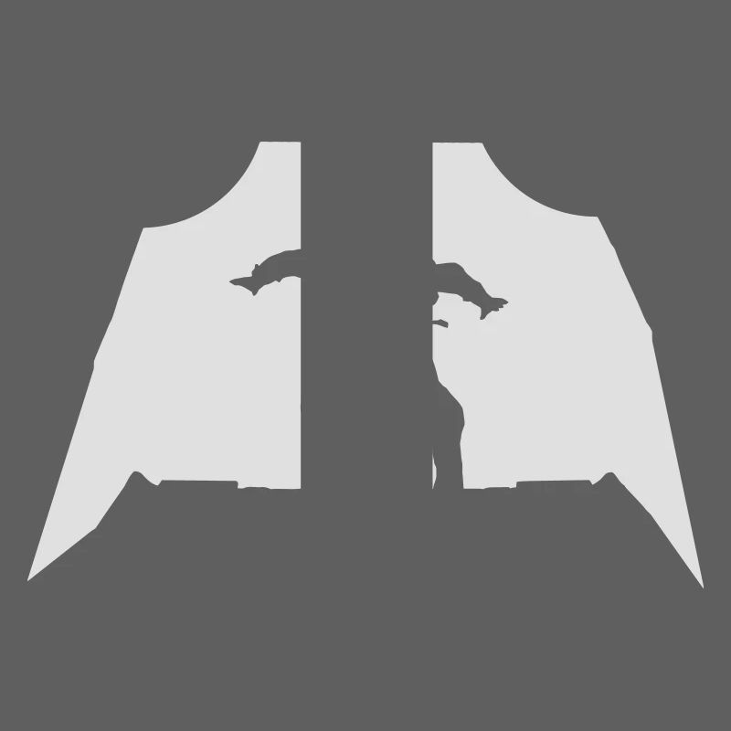 Skydiving - Parachuting