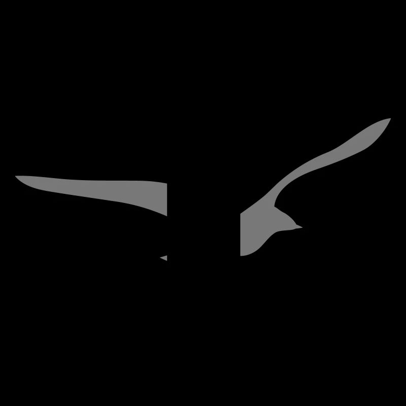 Möwe