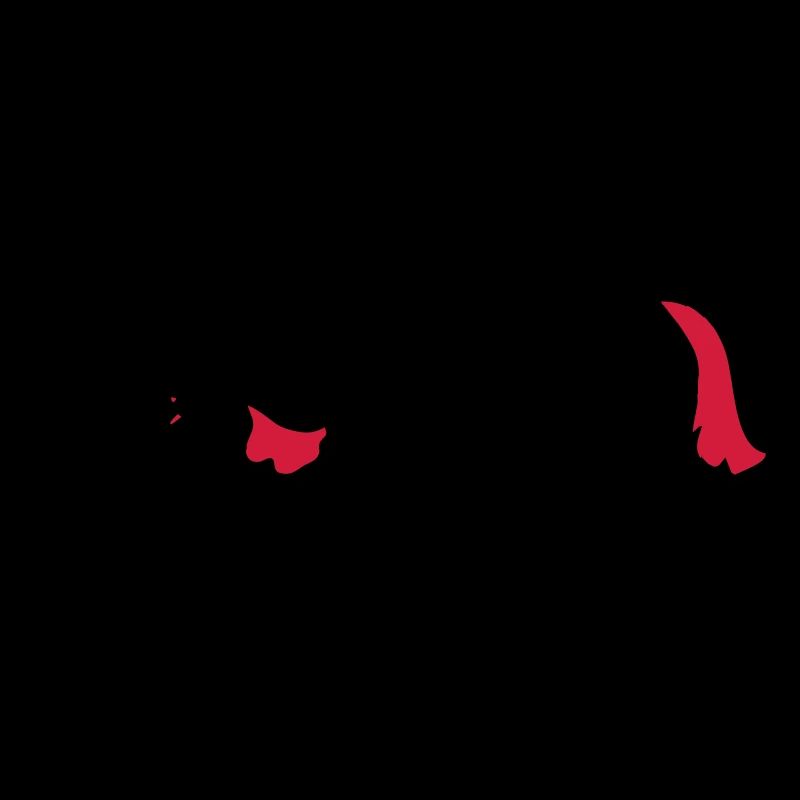 Springpferd mit Hund