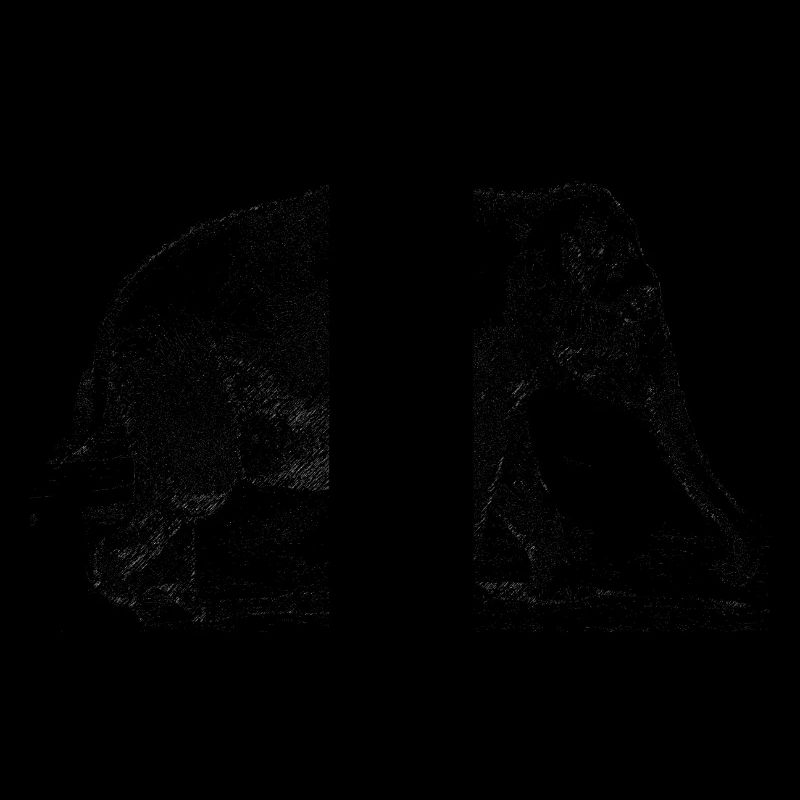 elefant