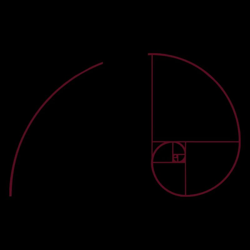 Goldene Spirale, Schnitt, Phi, Fibonacci, Physik