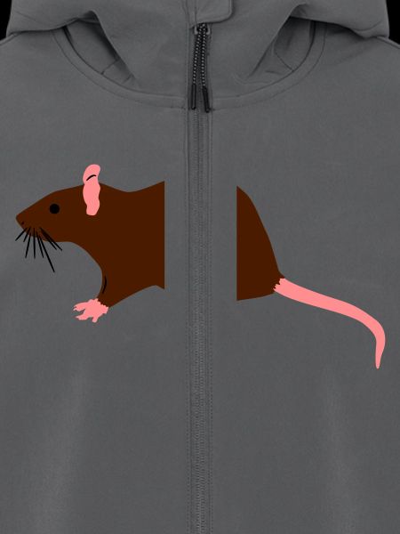 ratte