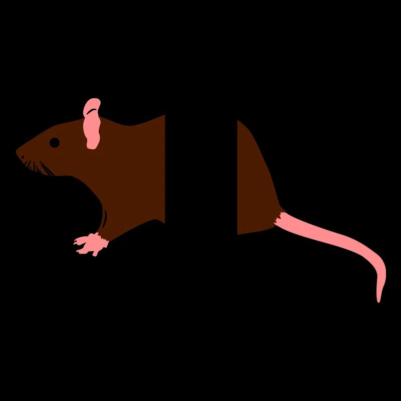 ratte