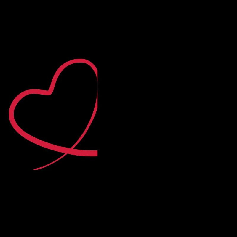 Kunstflug aerobatic Fox Geschenk