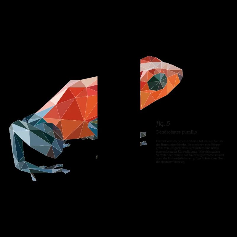 fig5_polygonpfeilgiftfrosch