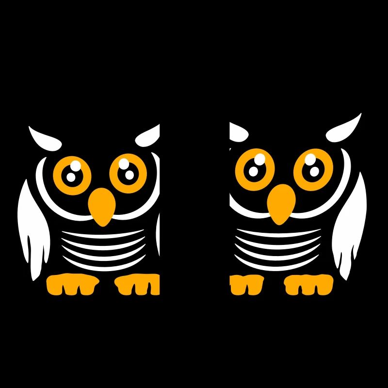 2 Eulen Team Vogel Freunde zwei Schleiereulen Crew