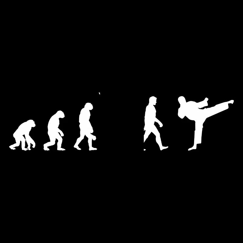 Taekwondo Évolution