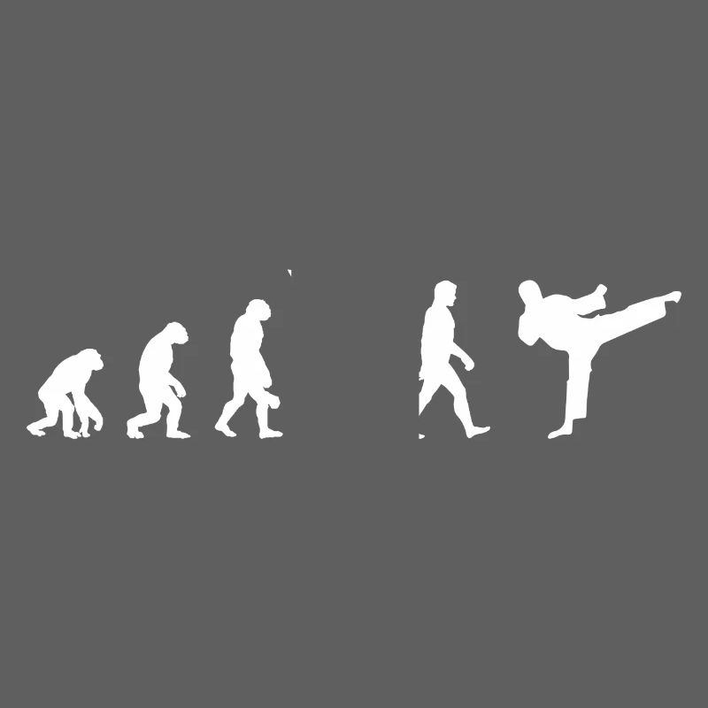 Taekwondo Evolution