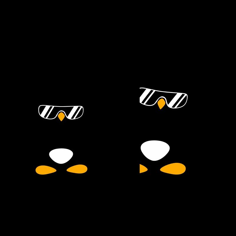 2 Penguins Bodybuilder Lunettes de soleil Casque Équipe