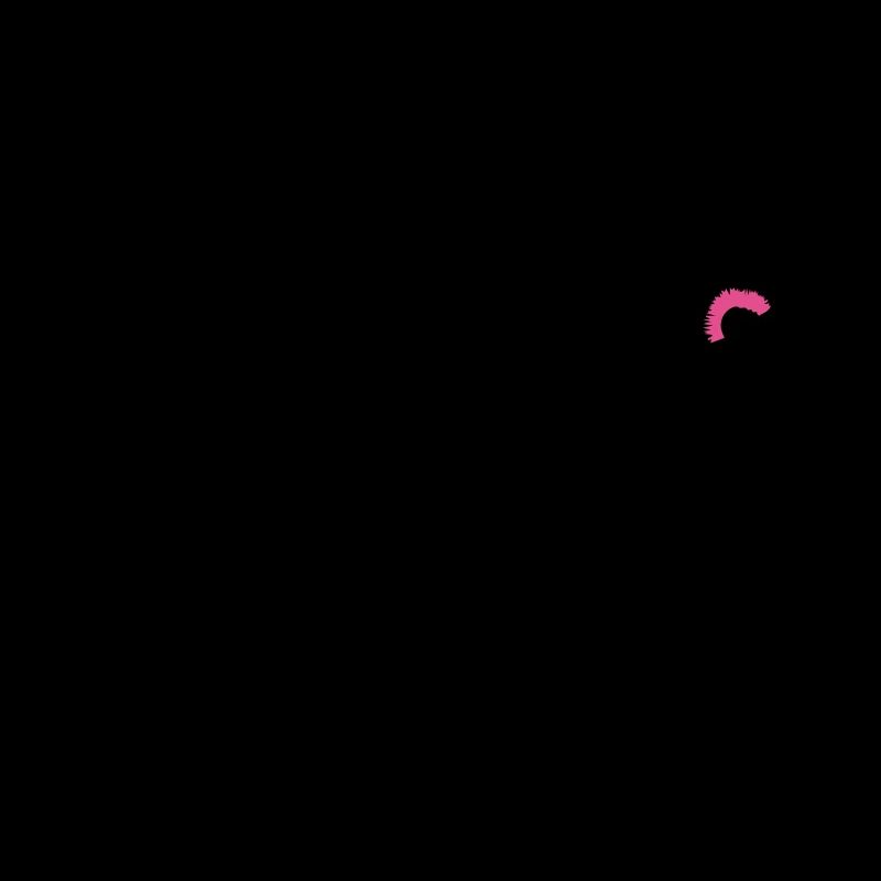 evolution_punk_2c
