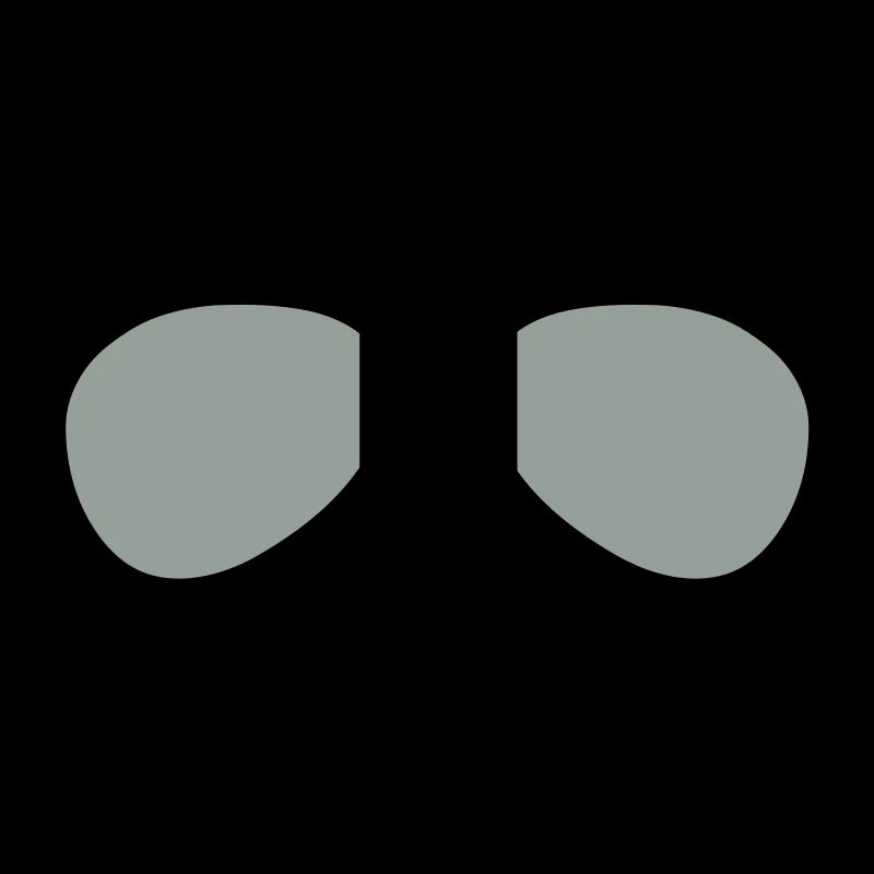 The Aviator Goggles