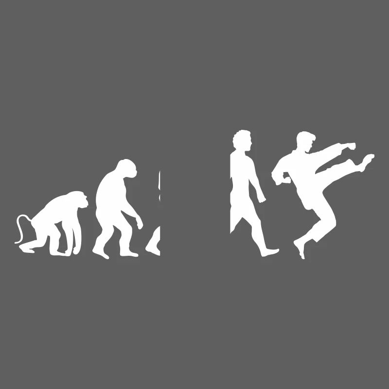 Karate Evolution