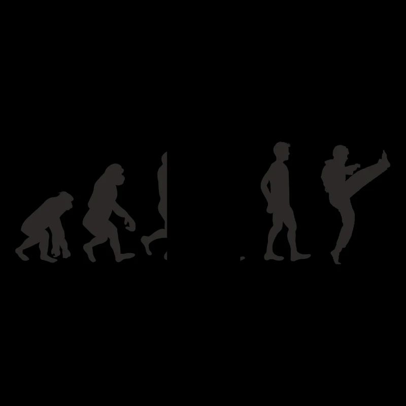 Evolution Karate