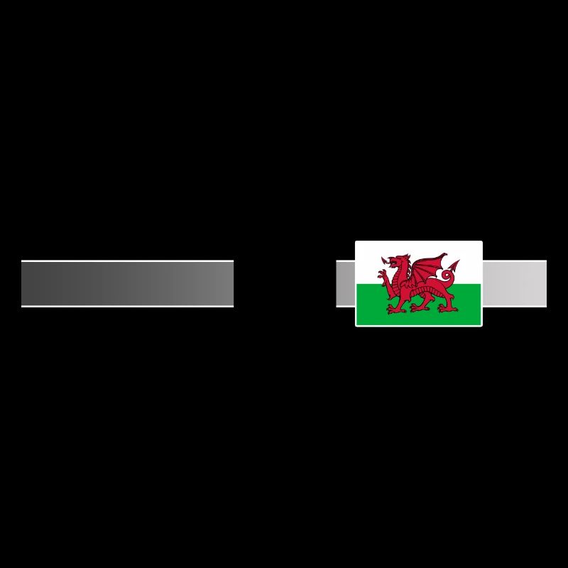 Bannière et drapeau du Pays de Galles