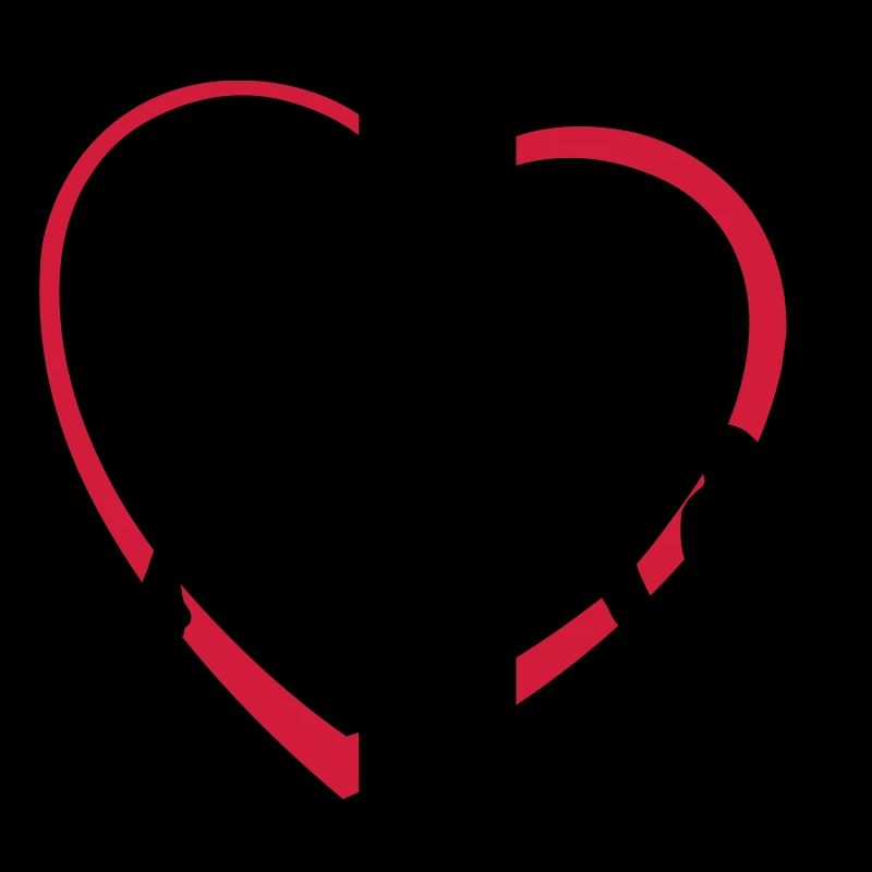 Frison Gypsy Cob ou le type de cheval avec le