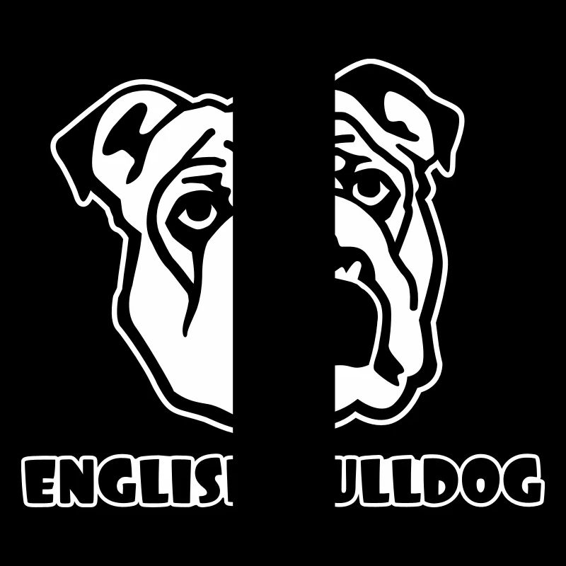 Anglais Bouledogue