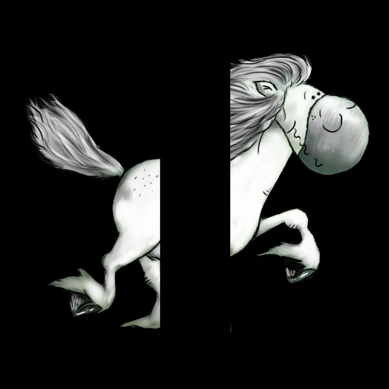 Drolliger Isländer - Islandpferd - Isi