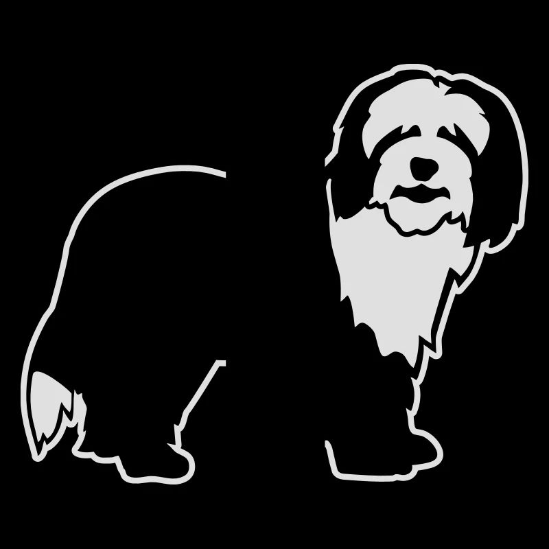 Bearded Collie