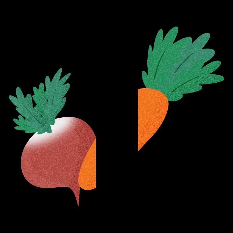 Radieschen & Karotte