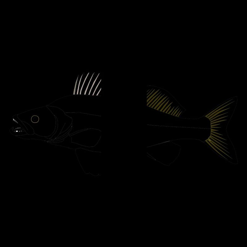 Target fish Zander