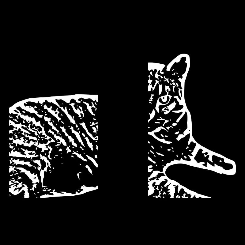 weiße Katze Katze weiß Katzen Geschenk