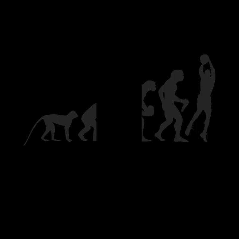 Evolution Basketball