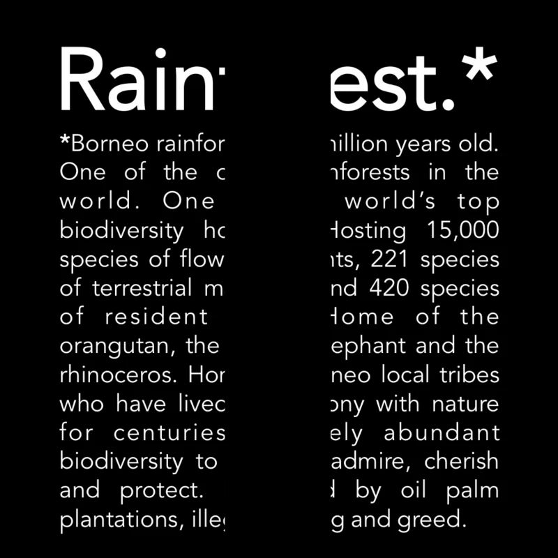 Rainforest borneo