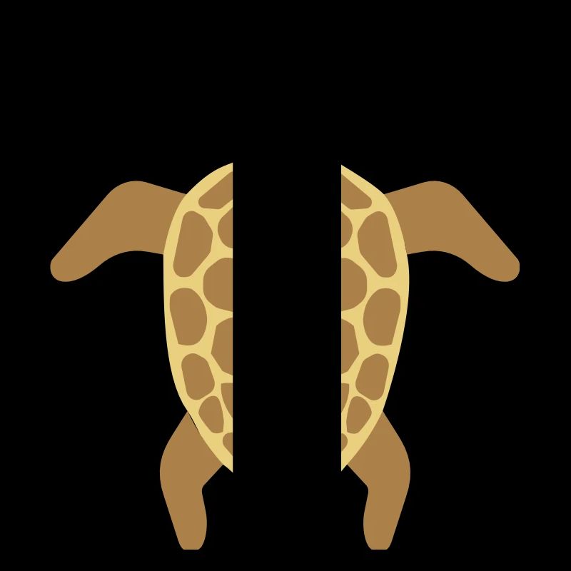 sea turtle